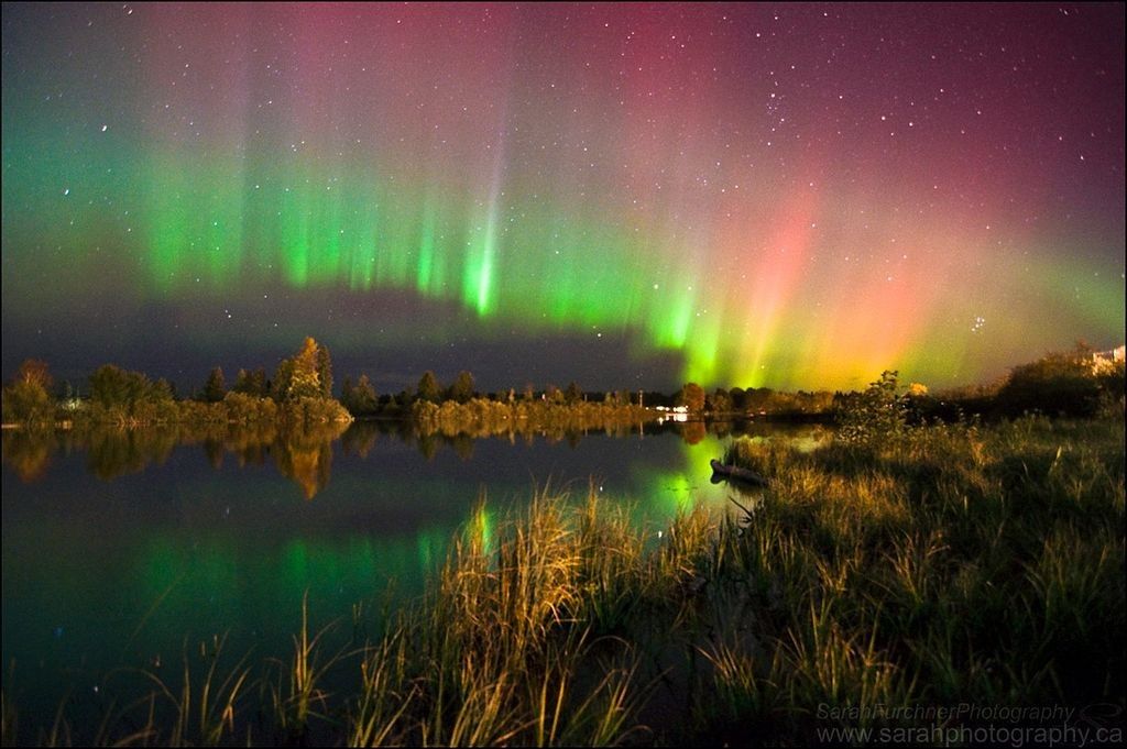 5 Negara dengan Fenomena Aurora Terindah, Bikin Pengen Kesana!