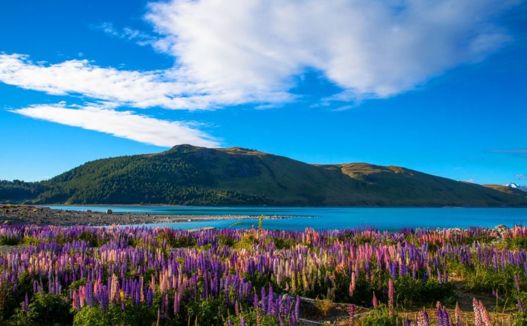 Wisata Alam Di New Zealand