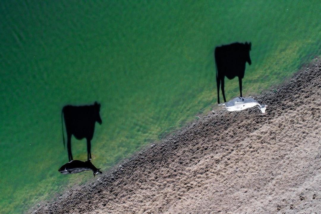 12 Potret Menakjubkan Dari Pemenang Fotografi Drone Sedunia