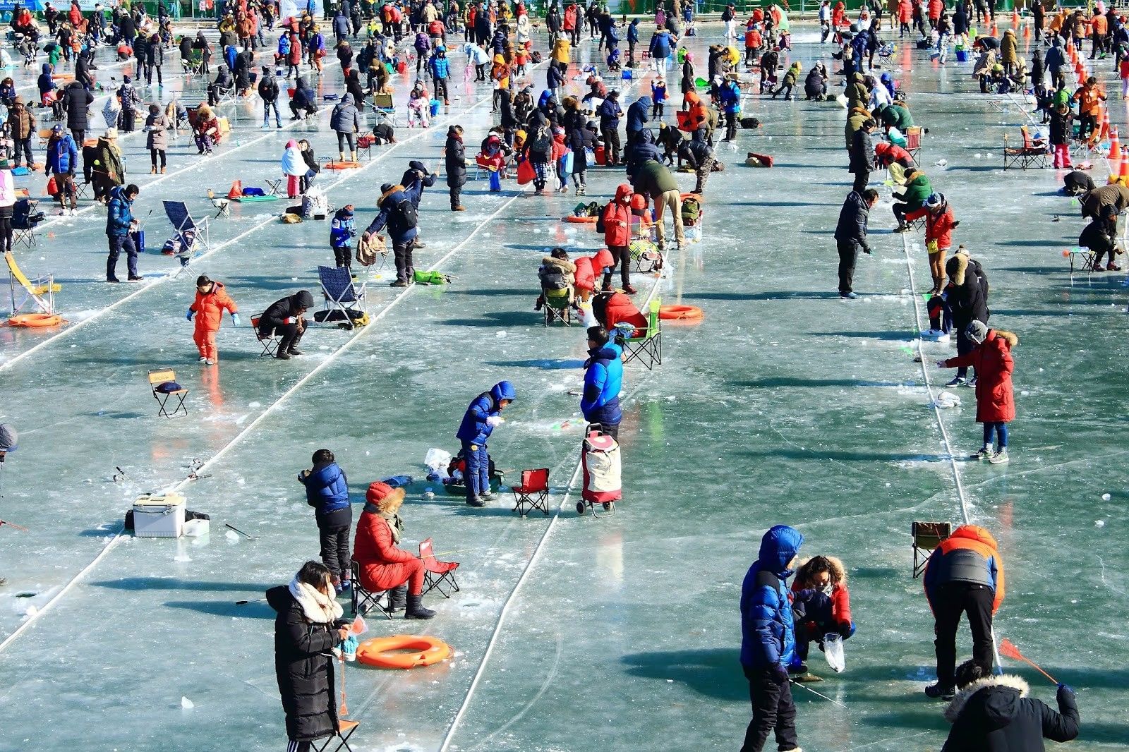 Mountain trout ice festival. Фестиваль горной форели Хвачон. Hwacheon Sancheoneo Ice Festival. Mountain Trout Ice Festival Korea. Фестиваль форели в Южной Корее.