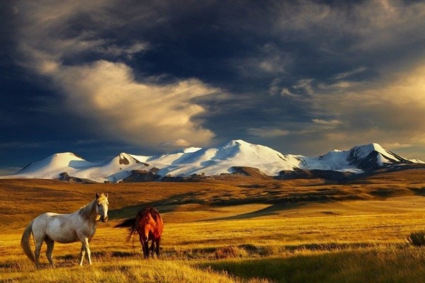 10 Lokasi Paling Menarik Yang Wajib Dikunjungi Saat Ke Mongolia
