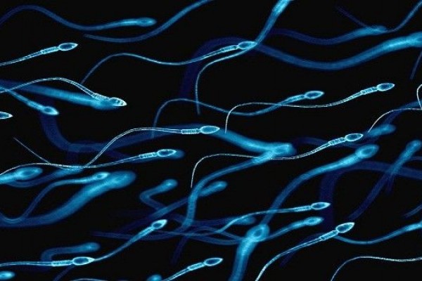 Ini 13 Fakta Unik Air Mani dan Sperma, Kamu Sudah Tahu?