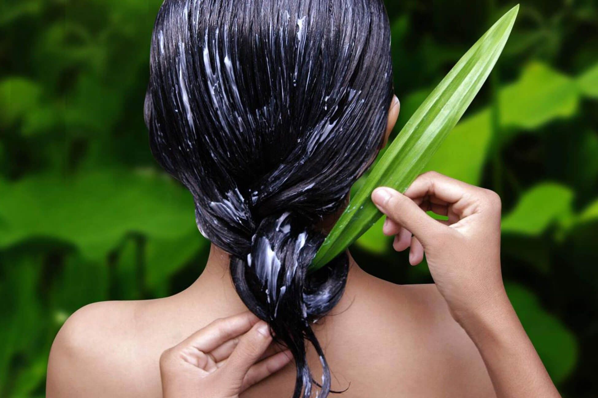 Selain Shampo Ini 6 Produk Perawatan Rambut Yang Harus Dipunya Cewek