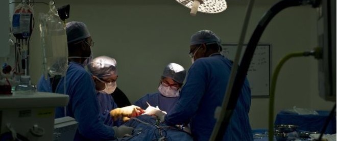 Miliki Satu Organ Hati, Bayi Kembar Siam di Subang Butuh Biaya Operasi