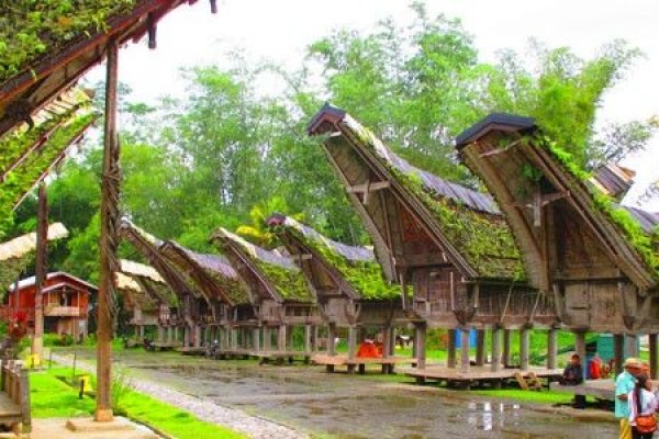 7 Ciri Khas Orang Toraja yang Menarik Untuk Di simak