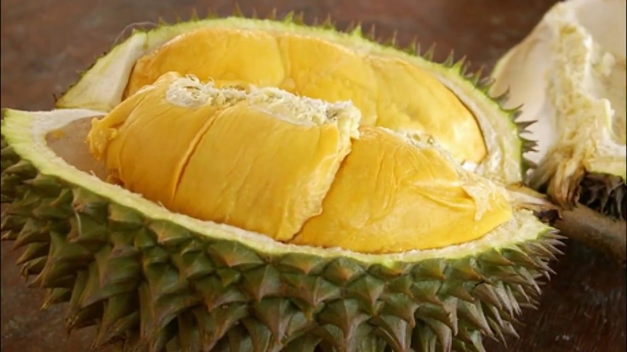Pupuan Tabanan Kembangkan Bisnis Durian Musang King dan Duri Hitam