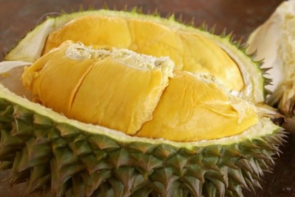 5 Tempat Kuliner Legendaris di Medan yang Wajib Kamu Kunjungi