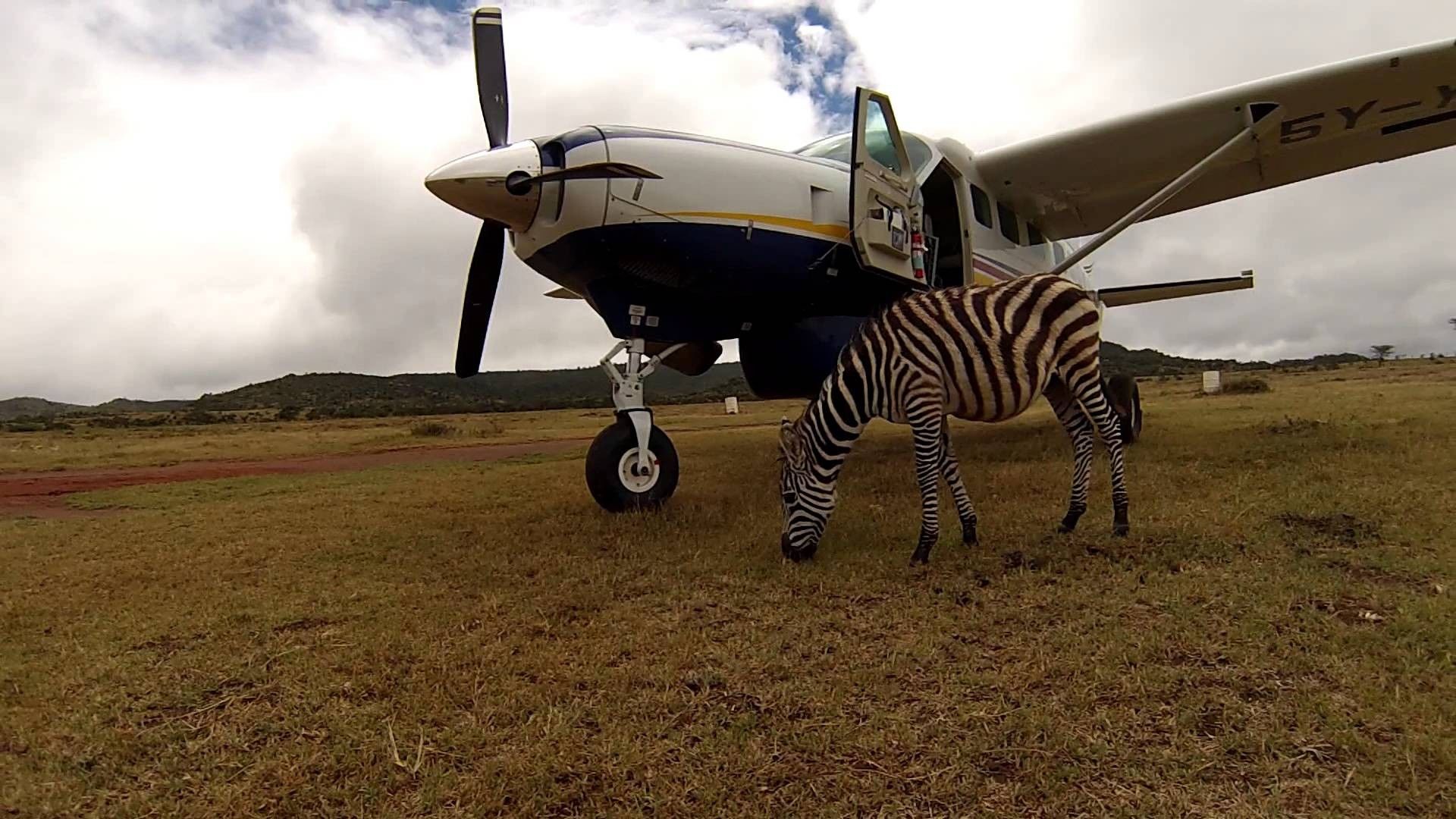 12 Pekerjaan yang Paling Berbahaya dan Gila di Dunia