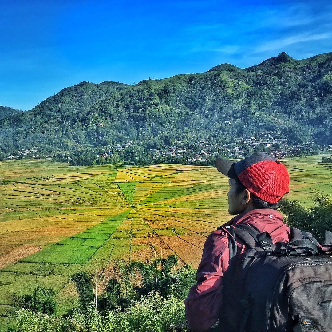 7 Ladang Sawah Terindah Di Indonesia Bikin Mata Terperangah