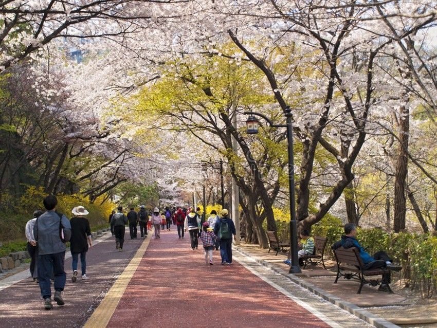 10 Tempat Wisata  Gratis di Korea  Selatan  Travelling Hemat 