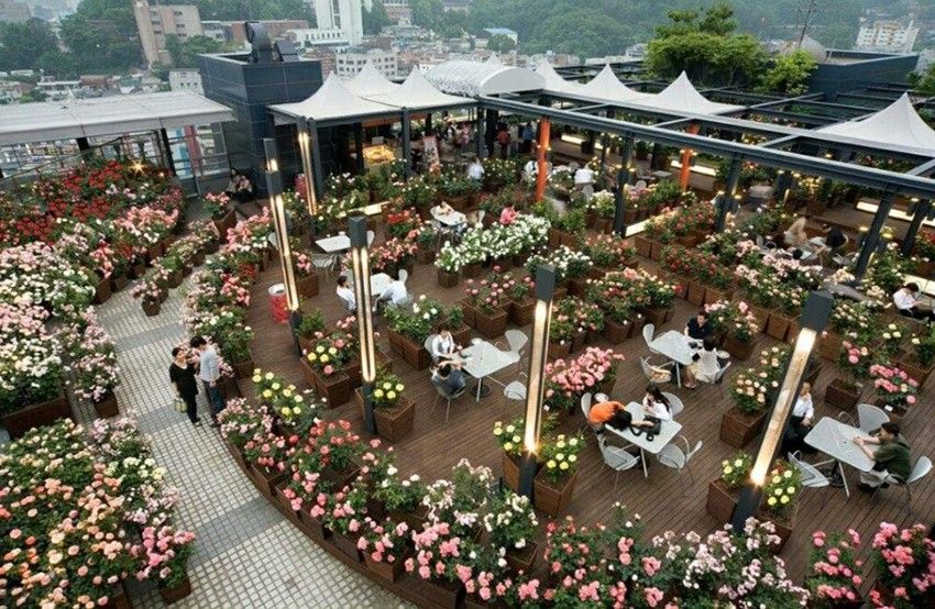 5 Tempat Romantis di Korea Selatan yang Wajib Dikunjungi Bareng Pasangan