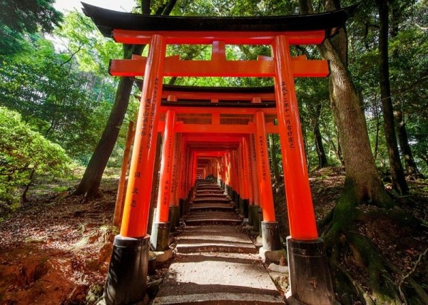 Inilah 5 Spot Terbaik untuk Nikmati Keindahan Alam Kyoto di Jepang