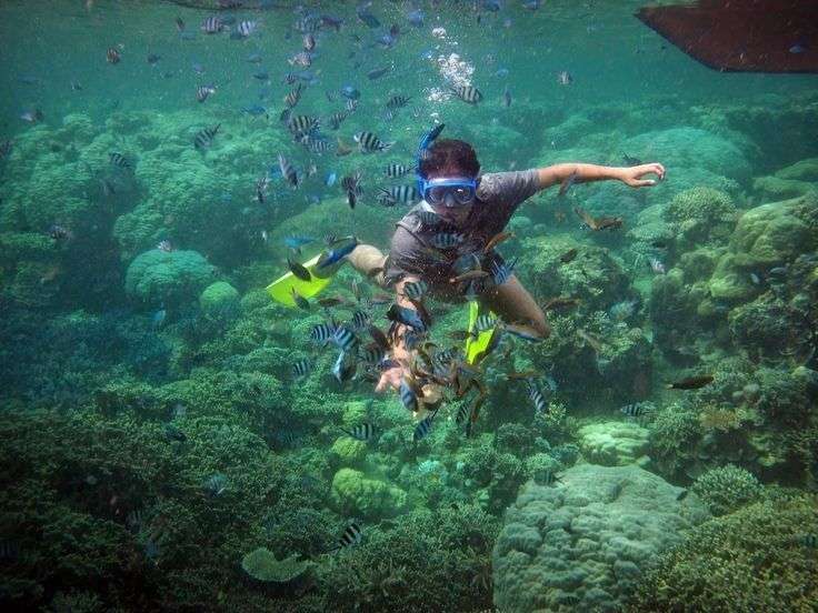 7 Destinasi Wisata Terindah di Karimun Jawa Ini Bikin Kamu Gagal Move On!