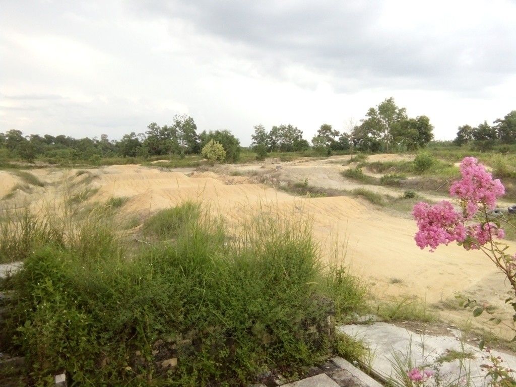 Panjang Betang Rumah Pasir Panjang Betang Rumah Pasir