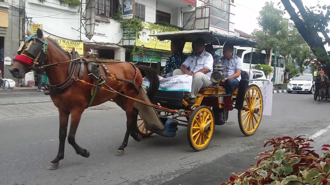 Selain Delman Ini 9 Alat Transportasi  Jadul Mulai Jarang 