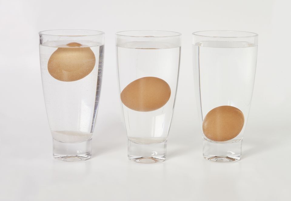 Image result for membedakan telur busuk
