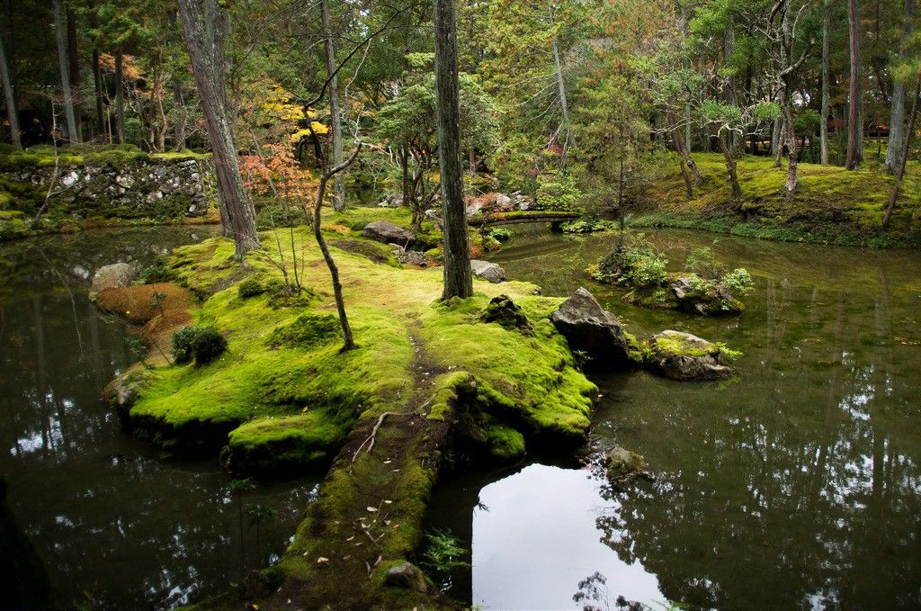 5 Taman Kuno di Kyoto, Indahnya Bikin Melayang ke Dunia Lain