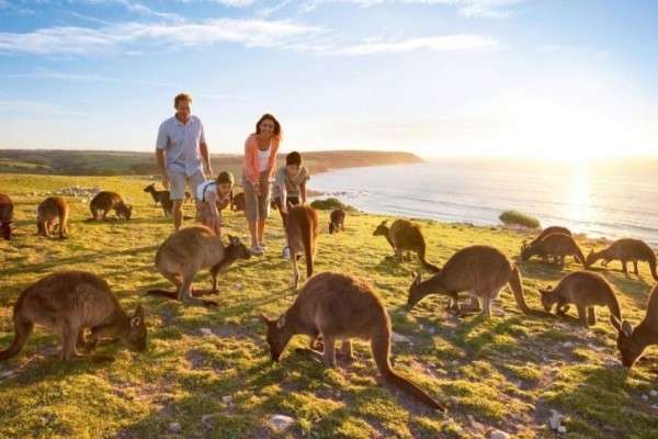 Liburan di Australia, Catat 10 Restoran Halal Ini yang Mudah Dijangkau