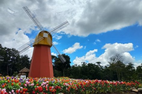 5 Penginapan Mewah di Bandungan Semarang View Pemandangannya Kece Abis