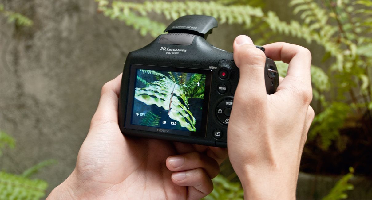 5 Deretan Kamera Sony Keren Untuk Fotografer Pemula Pilih Mana Nih