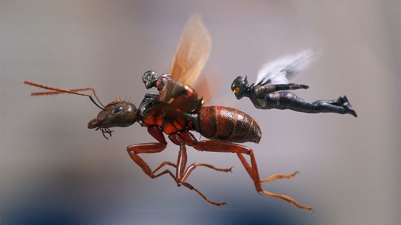 8 Fakta Penting tentang Quantum Realm di Film 'Ant Man and The Wasp'