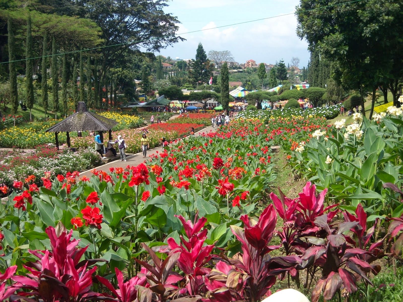 Rekomendasi Wisata Kebun Bunga Di Bandung