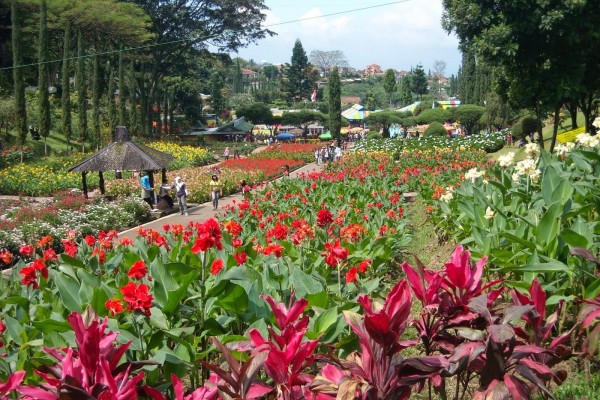 Rekomendasi Wisata Kebun Bunga Di Bandung