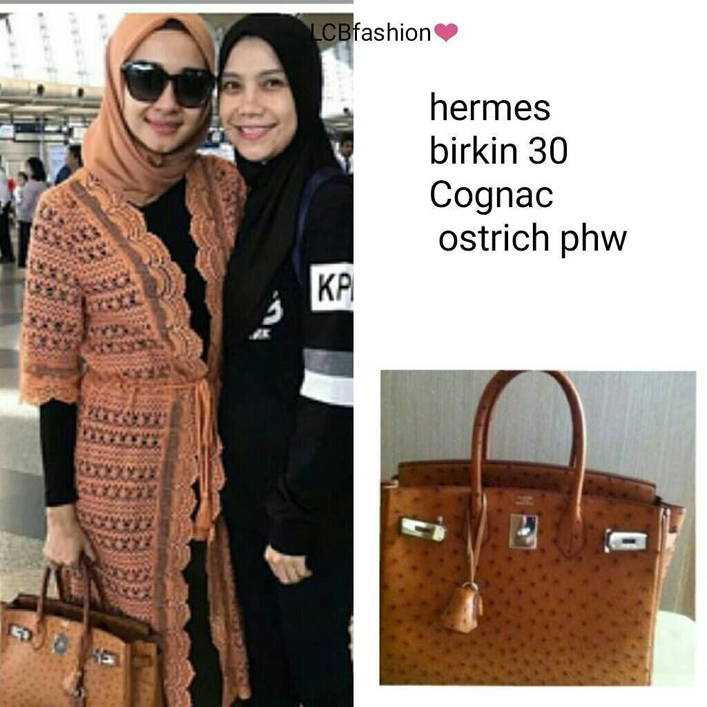 Harga Tas Mewah Laudya Cynthia Bella