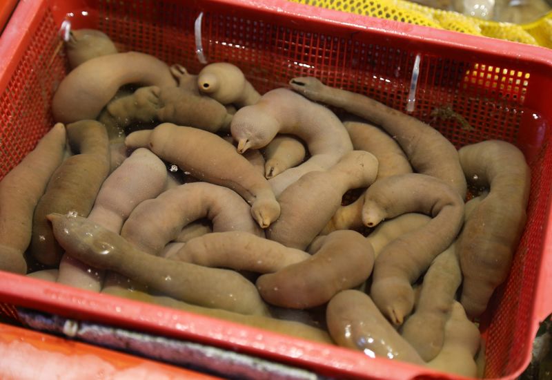 Bikin Geli, 5 Makanan Mentah Asal Korea Ini Anti-Mainstream!