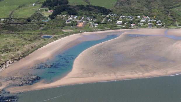 Desa di Selandia Baru Ini Berencana Larang Penduduknya Pelihara Kucing