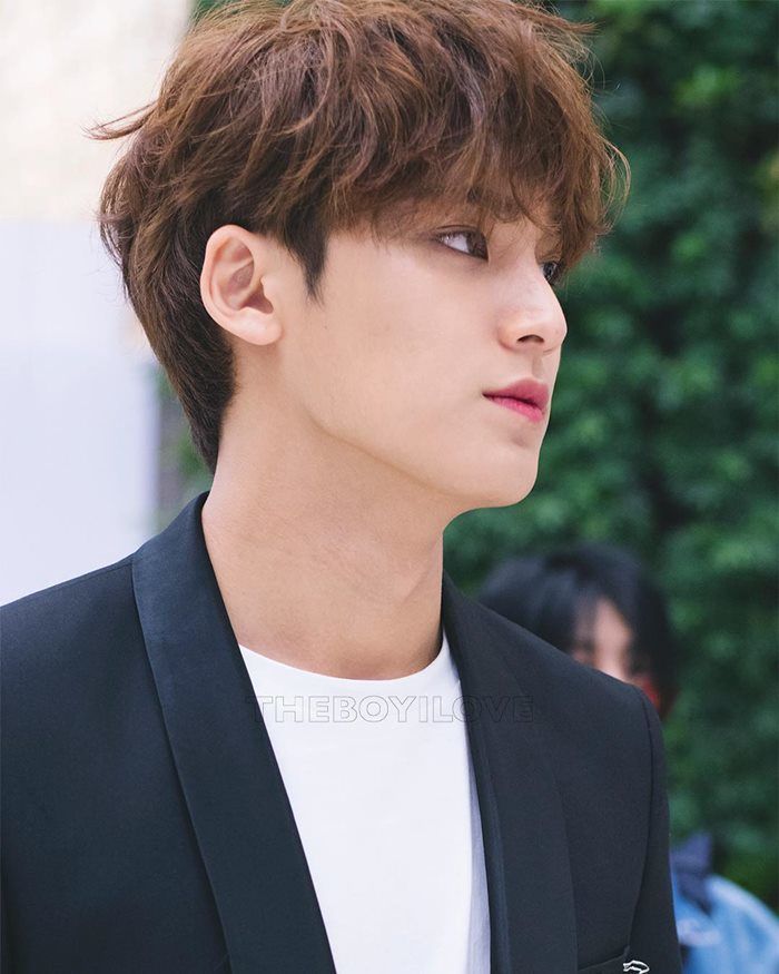 Pesona Tak Terbantahkan dari Mingyu Seventeen