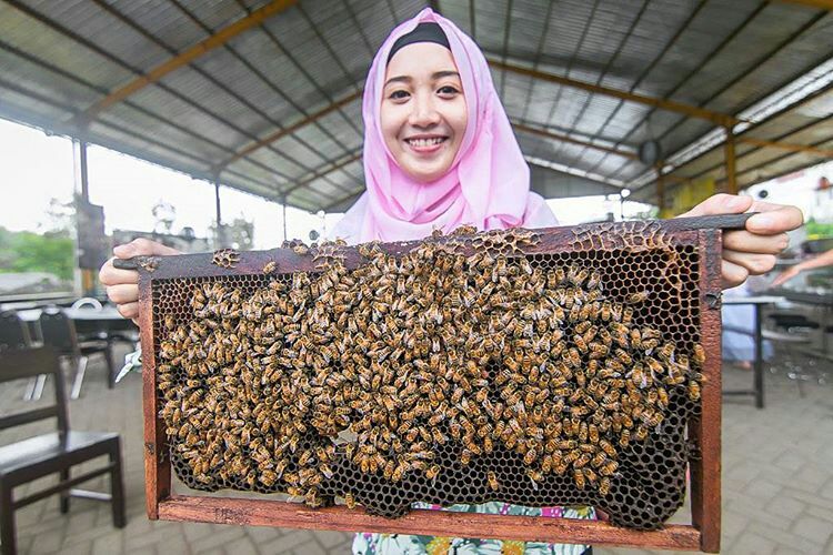 8 Wisata Edukasi di Malang yang Bikin Otak Semakin Cemerlang