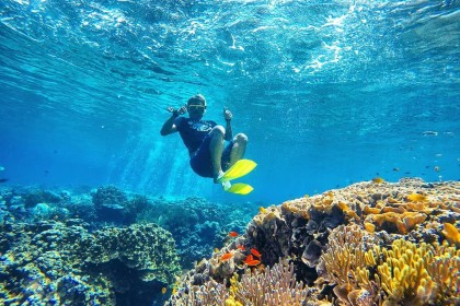 Daftar Keseruan Snorkeling yang Tak Kamu Dapatkan di Tempat Lain