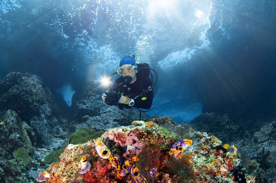 Contoh Taman Laut Yang Terkenal Di Indonesia Adalah - Dapatkan Contoh