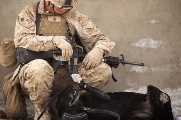Susah Tidur? Coba Terapkan Teknik Tidur ala Tentara Amerika