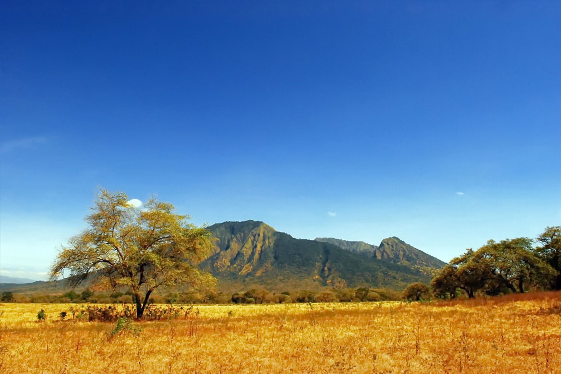 taman safari baluran