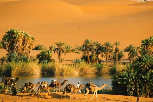 Cara Menghijaukan Gurun Sahara
