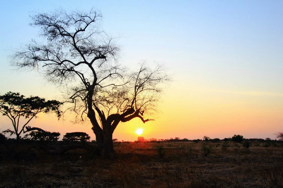 11 Keindahan Taman Nasional Baluran Africa Van Java Yang