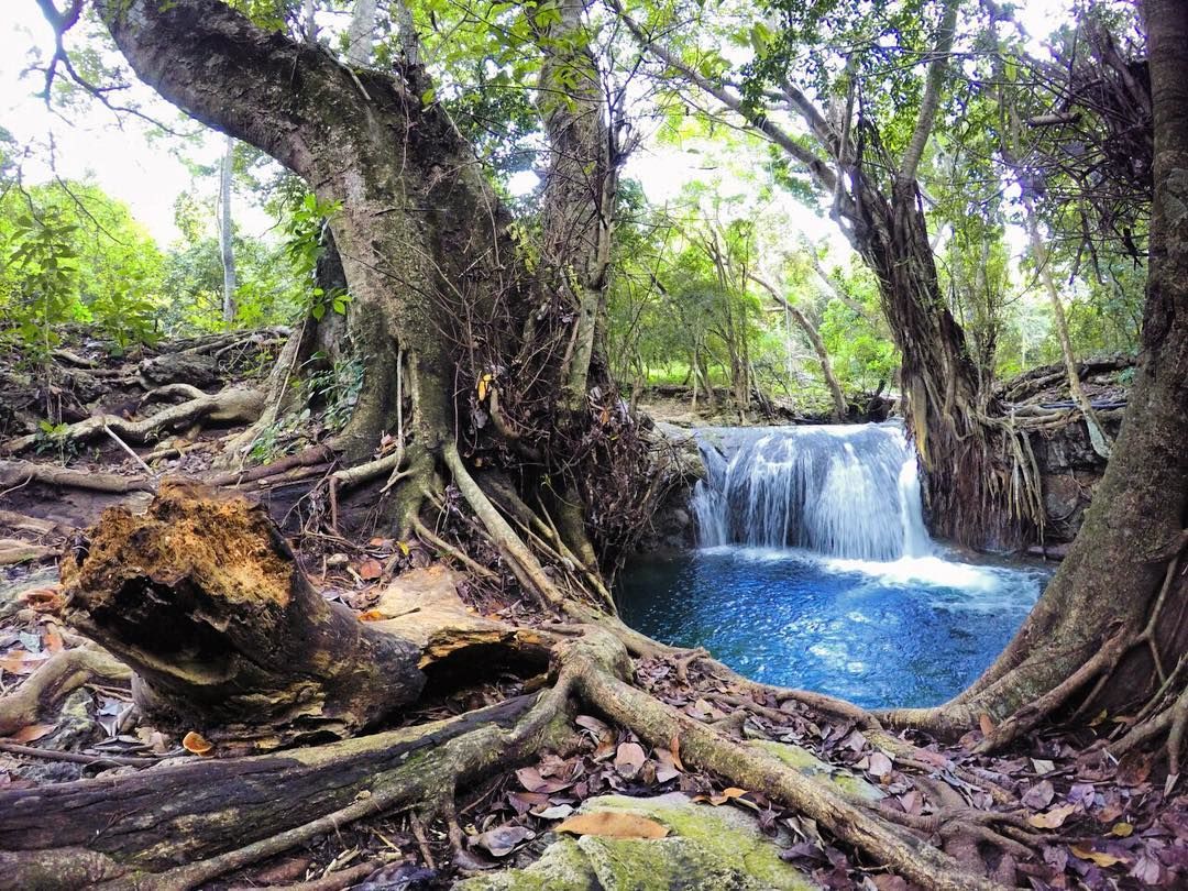 Plesiran Ke Ntb 7 Destinasi Wisata Pulau Moyo Ini Wajib