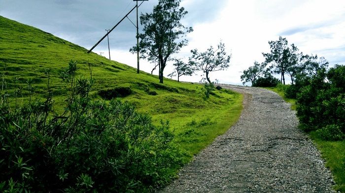 6 Foto Pesona Bukit Bikium Pulau Timor Yang Menggetarkan Hati