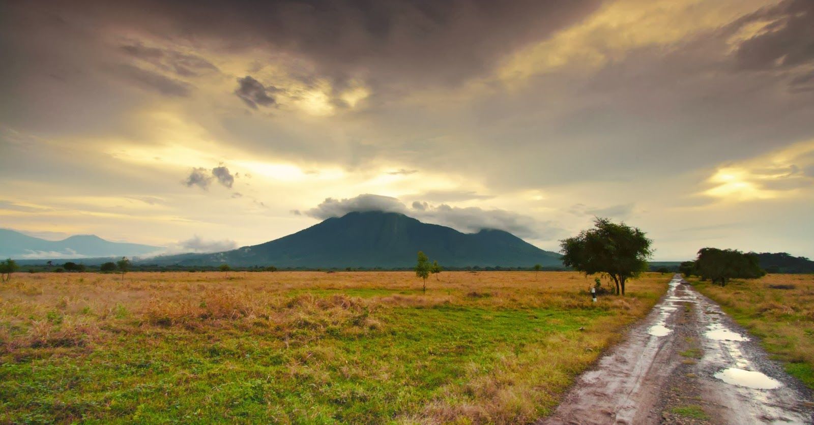 9 Padang Savana Terindah Di Jawa Timur Ini Bikin Pengen Segera Liburan