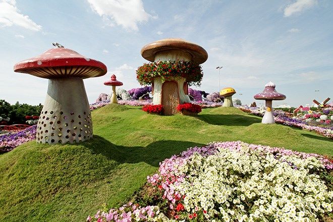 12 Potret Indah Miracle Garden di Dubai Ini Bikin Mata Susah Berpaling