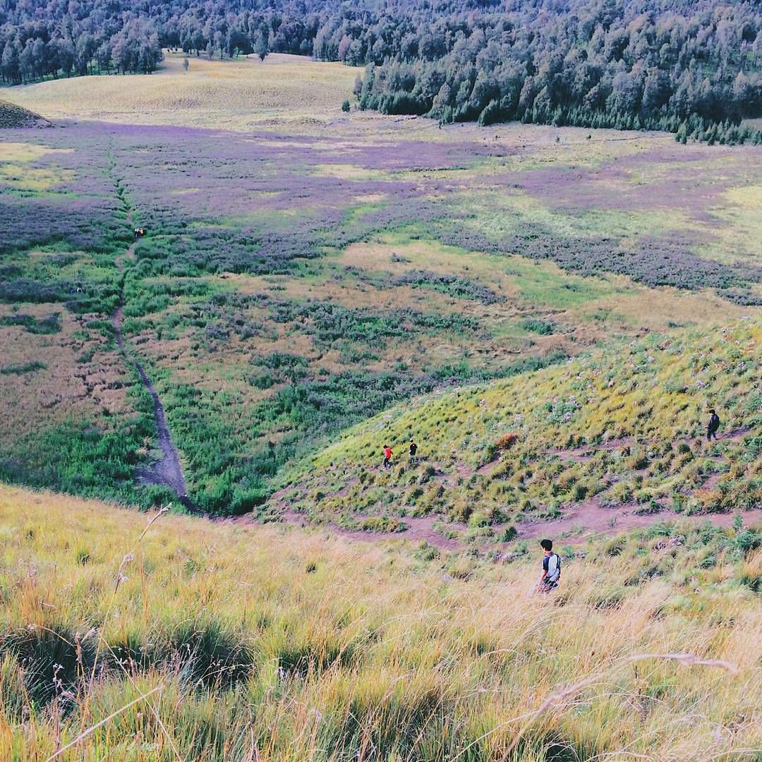 10 Kawasan Taman Nasional Bromo Tengger Semeru Ini Bikin Takjub!