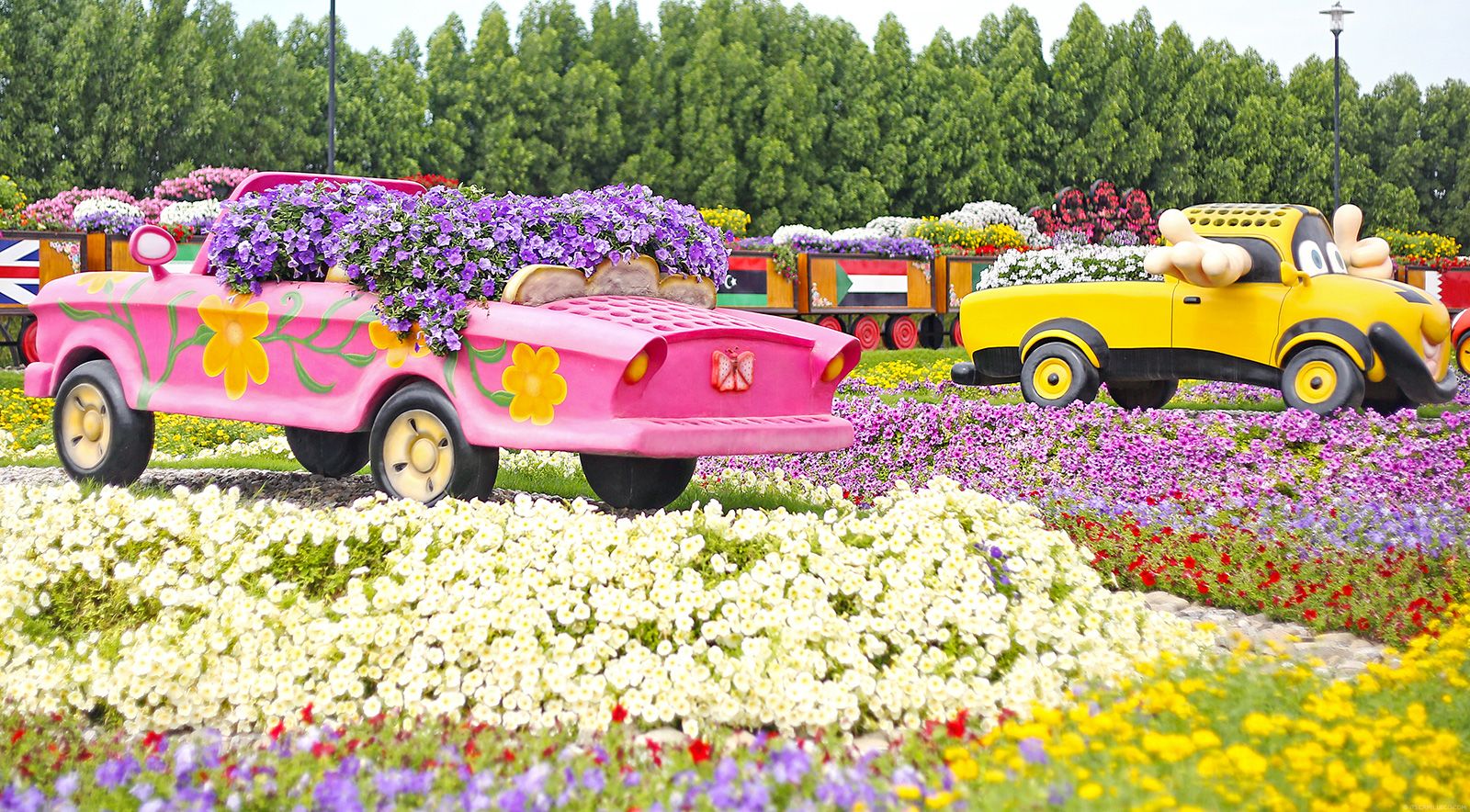 12 Potret Indah Miracle Garden di Dubai Ini Bikin Mata Susah Berpaling