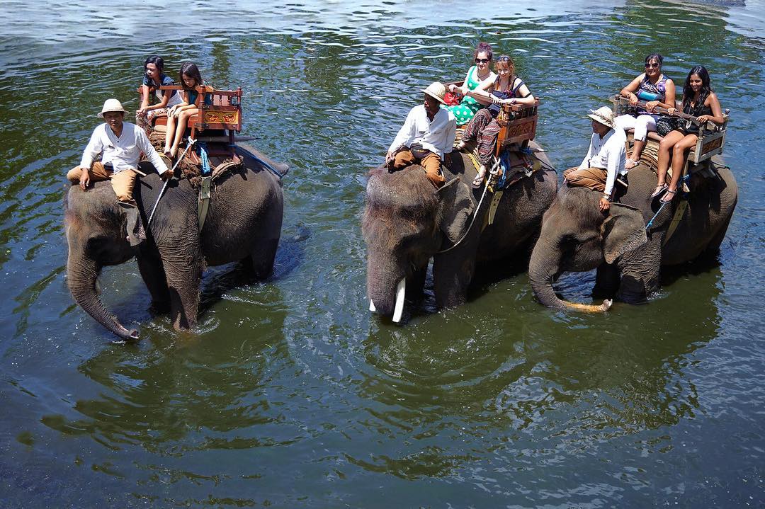 Menikmati Alam Bali Dengan Naik Gajah Ini 5 Tempatnya