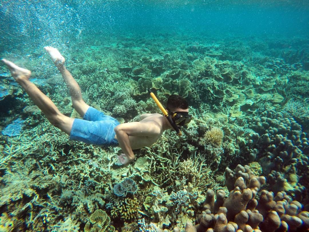 7 Wisata Snorkeling Di Jawa Timur Yang Mengaggumkan