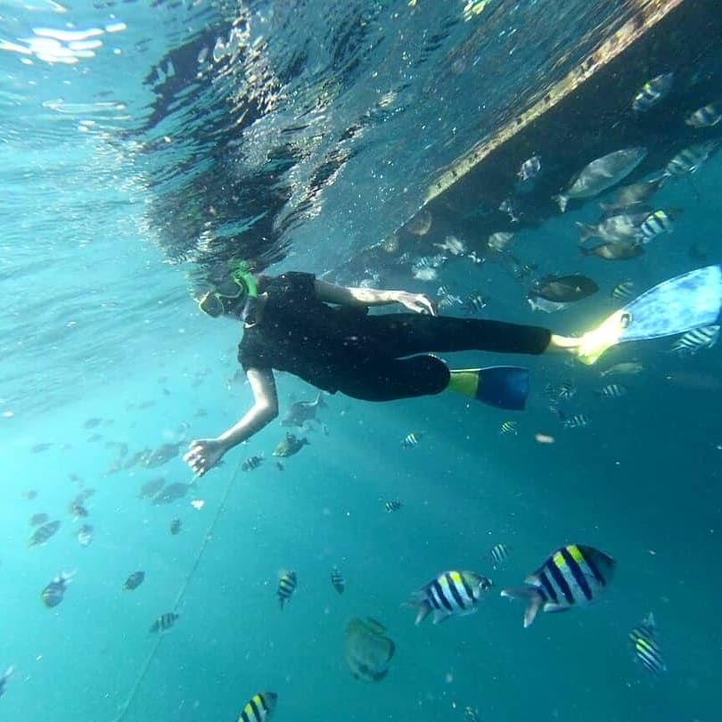 Kangen Snorkeling? Intip 7 Wisata di Jatim Ini