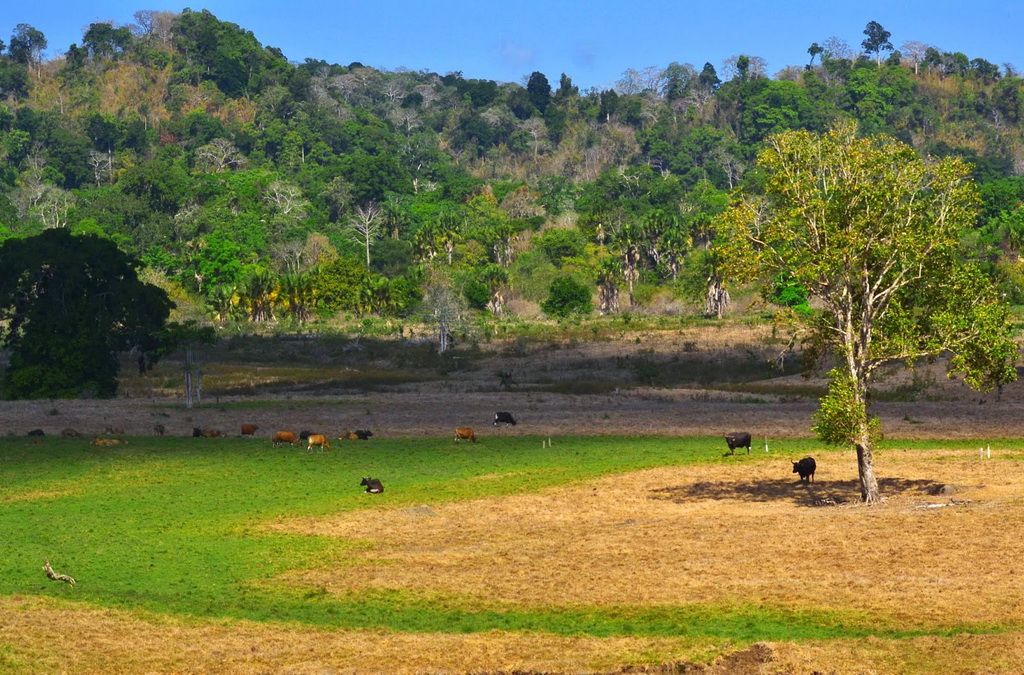 4 Taman Nasional Di Jawa Timur Ini Jadi Destinasi Wisata