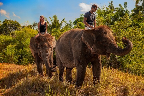 Wisata gajah di bali