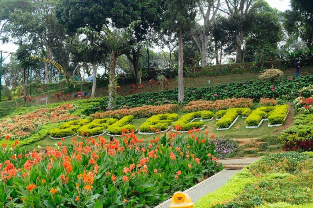 5 Taman Wisata Bunga di Jawa Timur yang Cocok Bagi Liburanmu